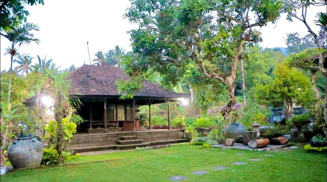 Mesari Cottage Guest House Buleleng  Exterior photo