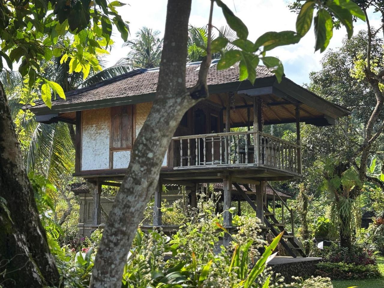 Mesari Cottage Guest House Buleleng  Exterior photo